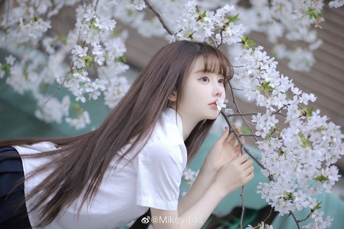 母亲 封面